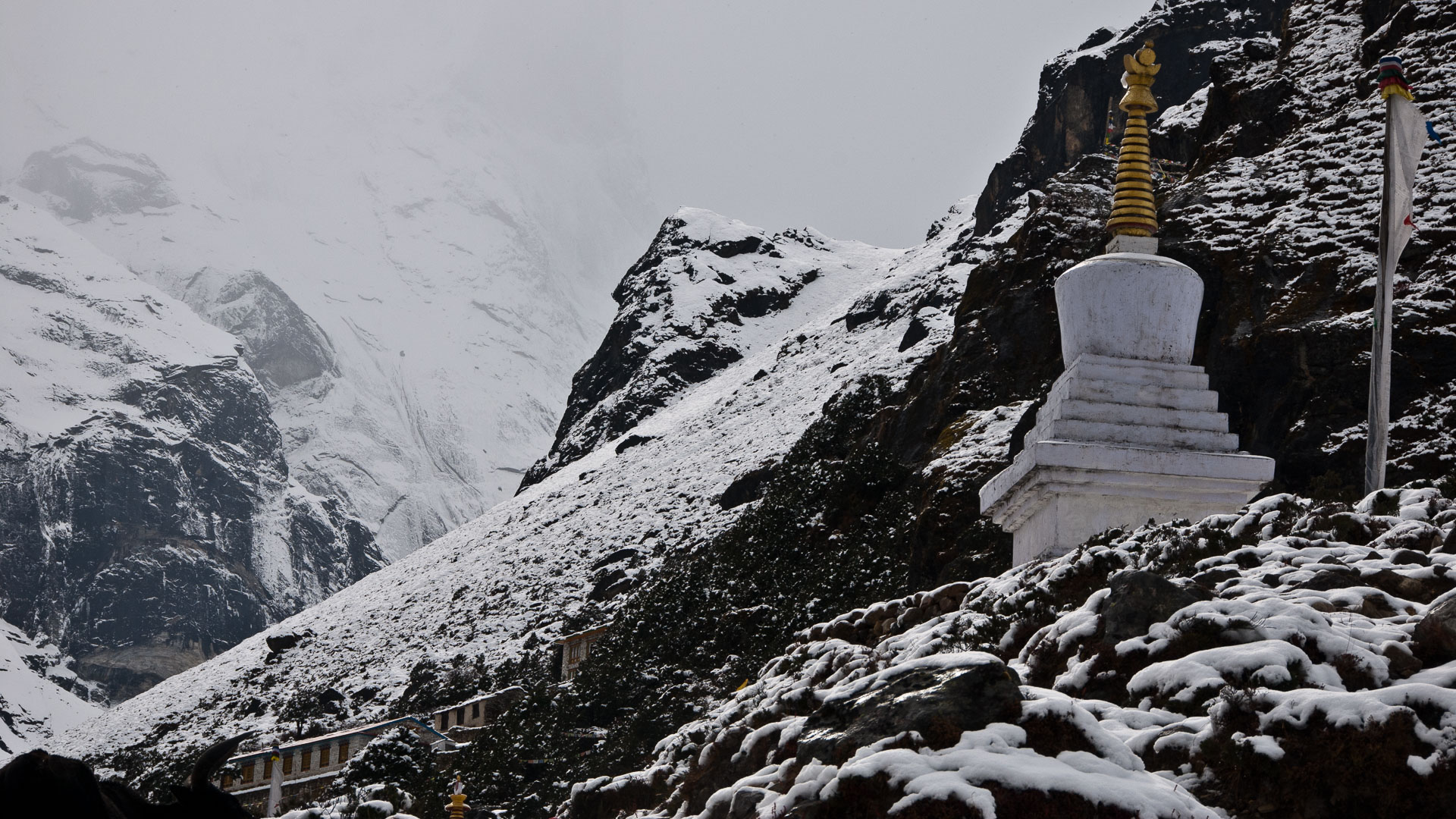 JDS111021nepal2011_00110_v1.jpg